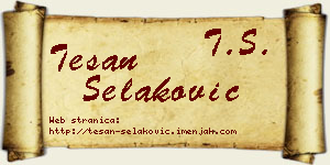Tešan Selaković vizit kartica